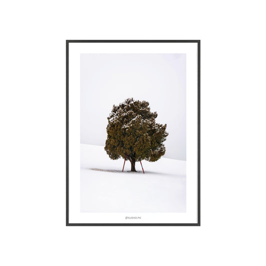 WINTER TREE (wooden frame)