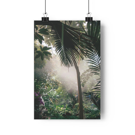 Premium Poster - PLANTS