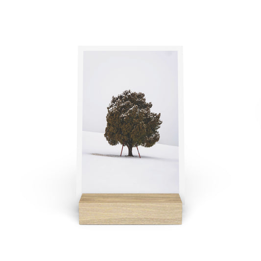 WINTER TREE - Gallery Board with Stand