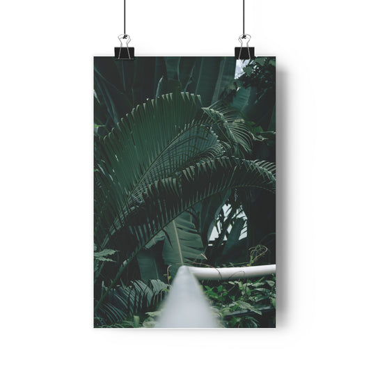 Premium Poster - PLANTS